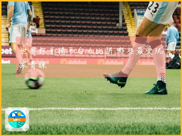 世界杯竞猜平台大比拼 哪些最受玩家青睐