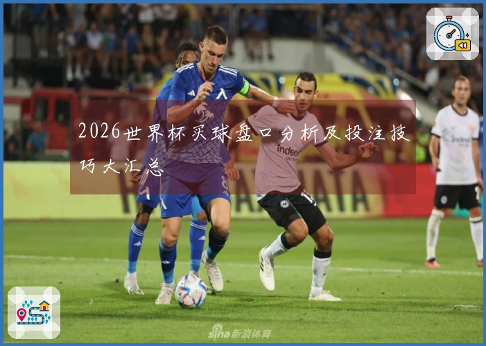 2026世界杯买球盘口分析及投注技巧大汇总