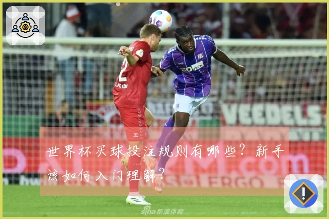 世界杯买球投注规则有哪些？新手该如何入门理解？