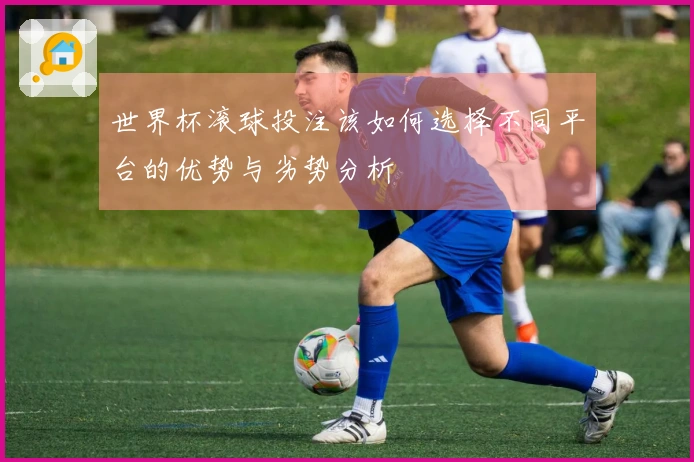 世界杯滚球投注该如何选择不同平台的优势与劣势分析