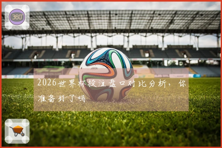 2026世界杯投注盘口对比分析，你准备好了吗