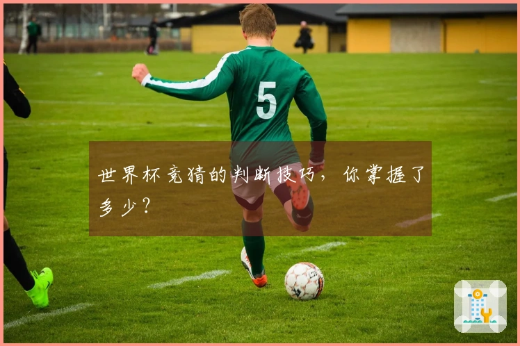 世界杯竞猜的判断技巧，你掌握了多少？